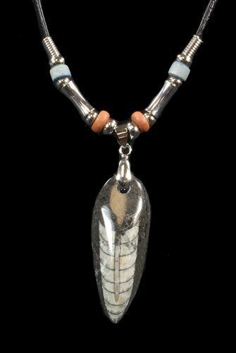 Fossil Orthoceras (Devonian Cephalopod) Necklace #43122